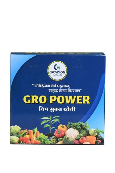 Picture of Gro Power (100 GM)